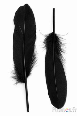 Gans - 15-21 cm, links und rechts - schwarz